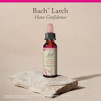 Amazon.com: Bach Original Flower Remedies, Larch (Non